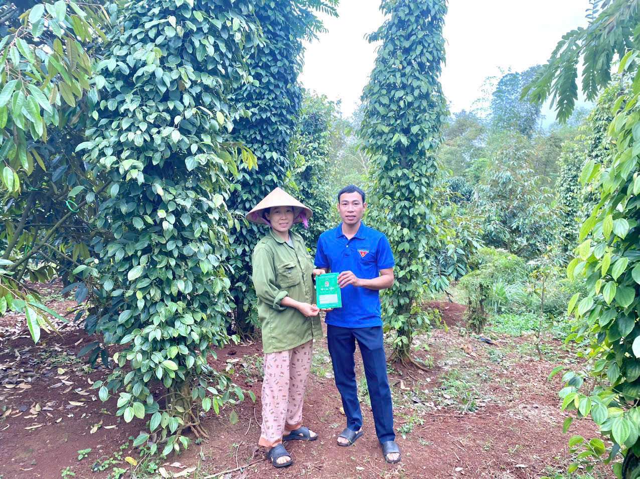ĐOÀN THANH NIÊN CỘNG SẢN HỒ CHÍ MINH XÃ EA NING: Phát huy tốt vai trò của tổ chức Đoàn thanh niên trong công tác quản lý ủy thác vốn vay Ngân hàng Chính sách Xã hội trên địa bàn xã Ea Ning.